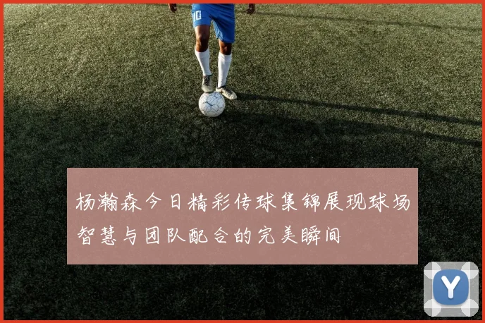 杨瀚森今日精彩传球集锦展现球场智慧与团队配合的完美瞬间