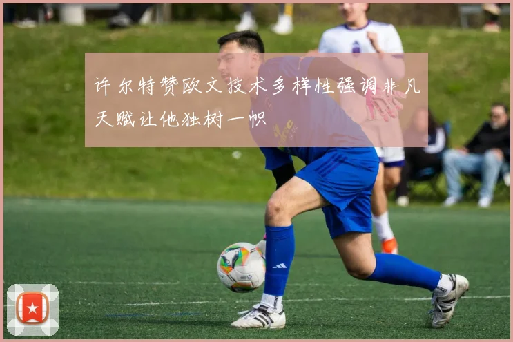 许尔特赞欧文技术多样性强调非凡天赋让他独树一帜