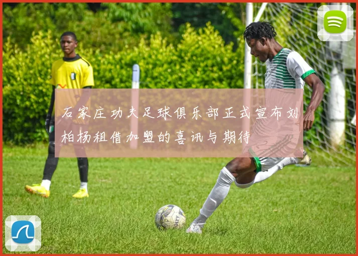 石家庄功夫足球俱乐部正式宣布刘柏杨租借加盟的喜讯与期待